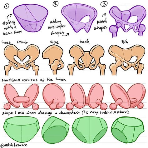 Mitch Leeuwe on Instagram: “Tips for drawing the pelvis. Mostly Im using the lower row to draw the pelvis for my charcters. But its good to have an understanding how…” Pelvis Anatomy, Mitch Leeuwe, Hip Anatomy, Drawing Resources, Tips For Drawing, Drawing Anatomy, Anatomy Sculpture, Human Anatomy Drawing, Human Figure Drawing