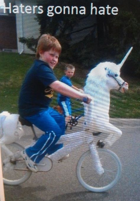 A unicorn bike ... "Haters gonna hate!" Be yourself. Unicorn Bike, Thursday Humor, They See Me Rollin, Nyan Cat, Haters Gonna Hate, Kids Ride On, E Card, I Smile, Hetalia