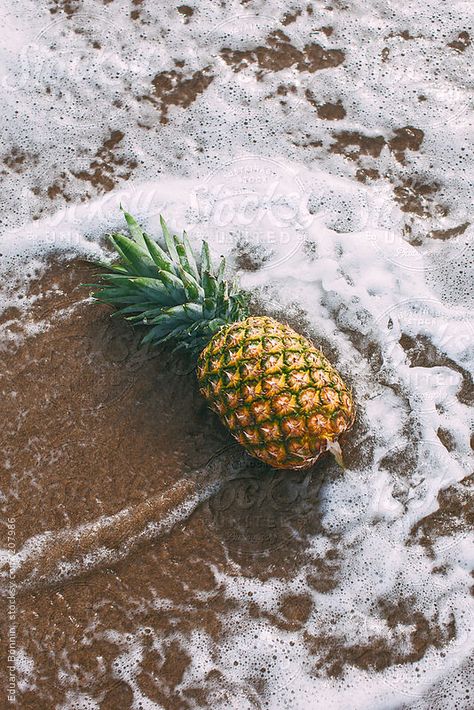 Pineapple Photography, Pineapple Pictures, Pineapple Wallpaper, Tropical Wallpaper, Summer Backgrounds, Beach Wallpaper, Trik Fotografi, Iphone Background Wallpaper, Summer Wallpaper