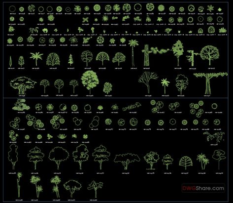 30.Trees AutoCAD blocks free download Autocad Tree Blocks, Autocad Blocks Free Download, Tesla Office, Autocad Trees, Autocad Landscape, Dwg Download Free, Tree Dwg, Albizia Tree, Autocad Free