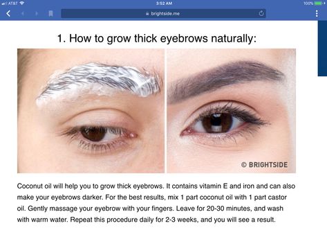 Homemade Eyebrow Thickener Thicker Brows Naturally, Eyebrow Thickening Remedies, Grow Back Eyebrows, Eyebrow Thickening, Thicken Eyebrows Naturally, Thicken Eyebrows, How To Thicken Eyebrows, Grow Eyebrows Faster, Eyebrow Hair Growth