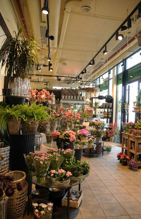 Florist Shop Interior, Flower Shop Interiors, Flower Cafe, Flower Store, Florist Shop, Language Of Flowers, Beautiful Bouquet Of Flowers, Floral Shop, Shop Interiors