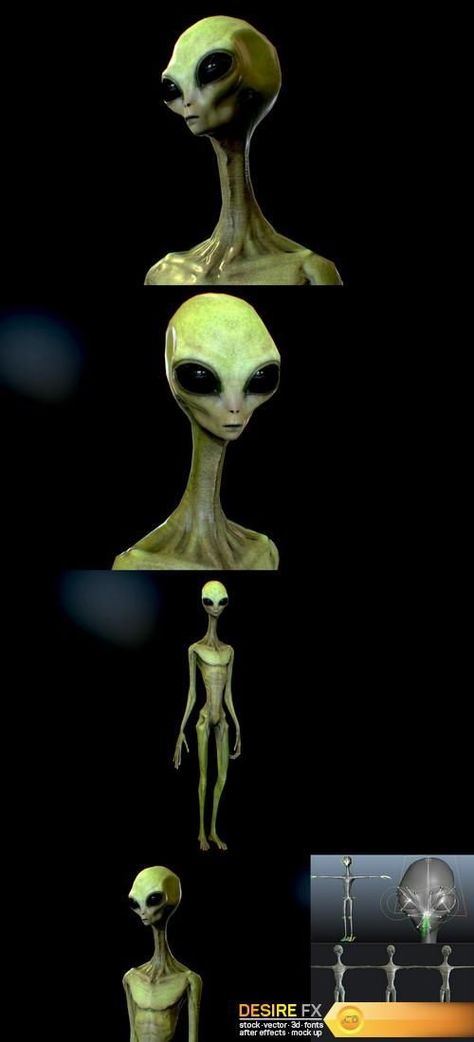 Alien Realistic, Realistic Alien, Gray Alien, Alien Life Forms, Alien Life, Alien Drawings, Alchemic Symbols, Grey Alien, Fantasy Stuff