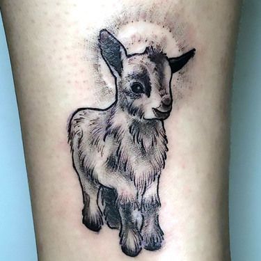 13 Goat Tattoo Ideas Cute Goat Tattoo, Tattoo Goat, Goat Tattoo, Animal Tattoos For Women, Cute Goat, Goat Art, Cute Goats, Skull Tattoo Design, Tattoo Kits