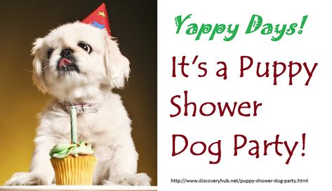 Puppy Shower Dog Party | How to celebrate your new puppy! Puppy Baby Shower Ideas, New Puppy Shower Party, Dog Theme Baby Shower Ideas, Puppy Shower Party, Dog Baby Shower Theme, Puppy Party Favors, Puppy Baby Shower, Dogs Toys, Puppy Pawty