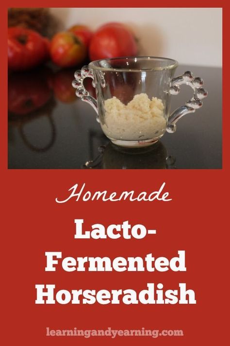 Fermented Horseradish, Homemade Horseradish, Homemade Rootbeer, Lacto Fermented, Fermented Sauerkraut, Preserving Recipes, Food Preserving, Fermented Veggies, Healthy Probiotics