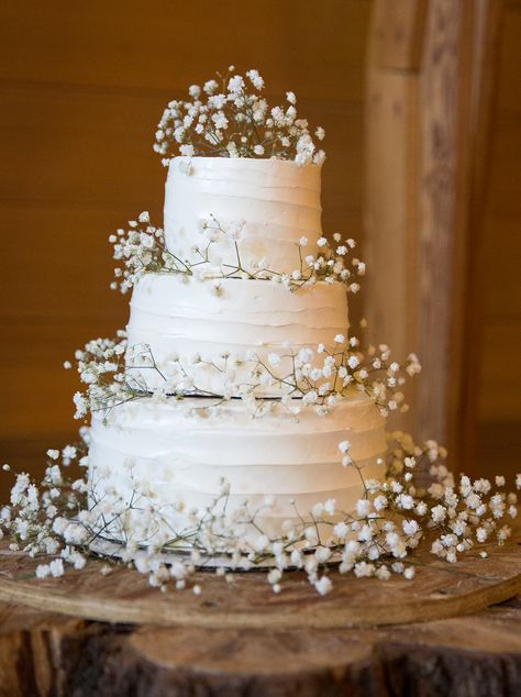 Baby's Breath inspired wedding cake Centerpiece Stands Wedding, Rustic White Wedding Cake, Wedding Cake Simple White, Baby Breathe Center Piece Wedding, Gypsophila Wedding Cake, Cannoli Wedding Cake, Babies Breath Wedding Arch, Wedding Cake With Baby Breath, Wedding Cake Flower Decoration