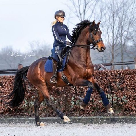 Holland Cooper Equestrian on Instagram: "Gorgeous shot of @annileexequest wearing our Base Layer in Ink Navy.​​​​​​​​ .​​​​​​​​ Our base layer offers warmth and comfort hand in hand. Perfect for keeping cool in whilst training while providing an insulating layer during the winter. Designed for a super soft feel against the skin.​​​​​​​​ .​​​​​​​​ Finished with sports-inspired graphics and our signature embroidered logos.​​​​​​​​ .​​​​​​​​ #hollandcooperequestrian #horsesofhc​​​​​​​​ .​​​​​​​​ ht Annabell Lee, True Fact, Holland Cooper, Horse Dressage, Country Girls Outfits, Womens Riding Boots, Friday Weekend, Dressage Horses, Horse Drawing