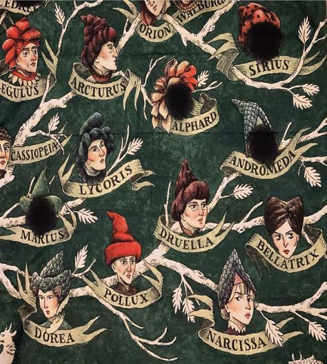 Black Family Tapestry, Black Family Tree, Harry Potter Family Tree, Family Tapestry, The Black Family, Fantastic Beasts 2, Family Tree Designs, Harry Potter Background, Harry Potte