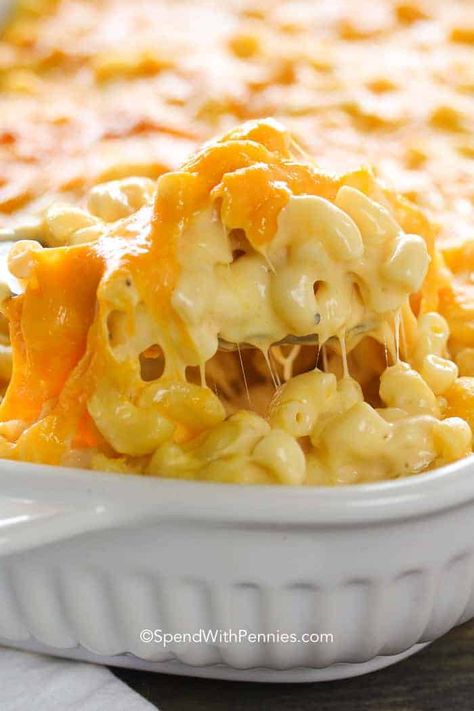 Mc And Cheese Recipe, Mac And Cheese Recipe Soul Food, Macaroni And Cheese Casserole, Best Mac N Cheese Recipe, Mac And Cheese Casserole, Baked Mac And Cheese Recipe, Cheesy Mac And Cheese, Best Macaroni And Cheese, Macaroni Cheese Recipes