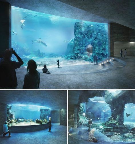 Aquarium Architecture, Public Aquarium, Zoo Architecture, Amazing Aquariums, Nature Aquarium, Home Aquarium, Aquarium Design, Ocean Park, The Aquarium