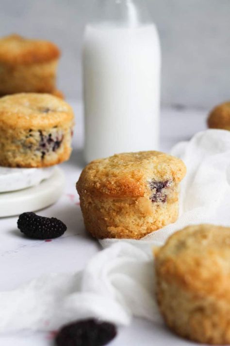 Mulberry Muffins - Modest Munchies Mulberry Muffins, Mulberry Recipes, Cookie Bar Recipes, Recipe Images, Cupcake Muffins, Muffin Pan, Cookie Bars, Bars Recipes, Dessert Recipes Easy