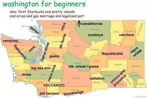 I've been needing a cheat sheet like this ever since we moved here! Washington State Map, Washington State History, O Town, Washington State Travel, Grant County, Ski Bums, Wa State, Renters Insurance, Whidbey Island