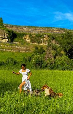 Dog On Porch, Dogs In Garden, Outdoor Photoshoot With Dog, Dogs Running In Field, Senior Pictures With Dogs, Dog In Field, Dog In Garden, Tiny Homestead, Dogs Outside