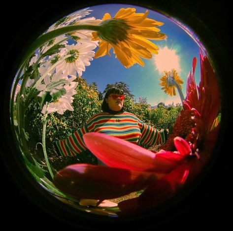 Fish Eye Portraits, Fisheye Lense Photography, Fishbowl Perspective Reference, Fish Eye Illustration, Fisheye Illustration, Fisheye Painting, Fish Eye Lens Aesthetic, Fish Eye Photography, Fisheye Lens Photography