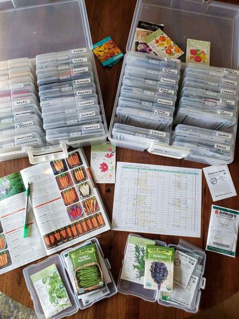 Seed Storage, Planting Calendar, Asian Flowers, Garden Activities, Starting Seeds Indoors, Organization Diy, Garden Journal, Island Kitchen, Home Vegetable Garden