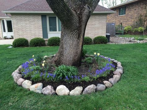 Landscape Ideas Around Large Trees, Stone Edging Around Trees, Bottom Of Tree Ideas, Tree With Rocks Around It, Rock Border Around Tree, Rocks Around Tree Landscaping, Rock Garden Around Tree, Tree Rings Landscape Ideas, Tree Bottom Ideas