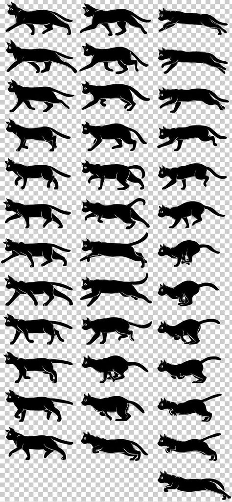 Cat Angles Reference, How To Draw A Cat Walking, Animal Walk Cycle Animation, Cat Walking Animation Cycle, Cat Walk Cycle Animation, Animal Walking Animation, Cat Animation Reference, Cat Walking Reference, Walking Drawing Poses