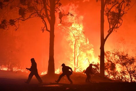 NSW fires: Gladys Berejiklian appeals to national park staff to assist RFS Bushfires In Australia, Kangaroo Island, Pastel Sec, Australian Bush, Perth Australia, Climate Action, Before Sunset, Galapagos Islands, New South Wales