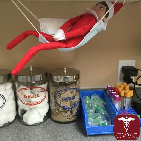 Vet Med Elf On The Shelf, Elf On The Shelf Ideas Funny Medical, Elf On The Shelf Ideas Medical Office, Elf On The Shelf Clinic Ideas, Elf On The Shelf Ideas Vet Clinic, Veterinary Elf On The Shelf, Elf On The Shelf Doctors Office Ideas, Elf On The Shelf Ideas Healthcare, Elf On The Shelf Doctors Office