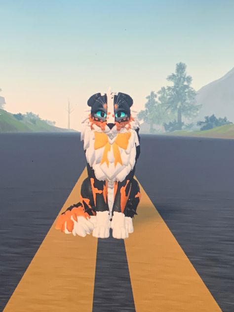 Wcue Morph Dog, Warrior Cats Roblox Morphs, Warrior Cats Oc Design, Wcue Inspiration, Warrior Cats Oc, Cat Story, Wcue Morph, Cats Design, Warrior Cat Oc