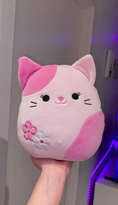 Squishmallow Plush Toy, Pink/Cream Squishy Mellows Aesthetic, Cool Things To Color, Squishmallows Cat, Aesthetic Squishmallows, Squishmallows Aesthetic, Things To Color, Squish Mellow, Aesthetic Cats, Cute Squishies