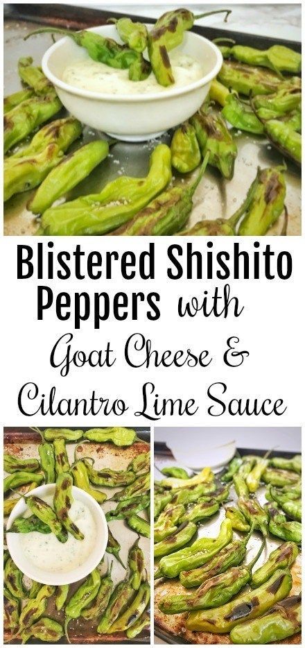 Peppers With Goat Cheese, Shishito Pepper Recipe, Blistered Shishito Peppers, Shishito Pepper, Cheese Dipping Sauce, Summer Appetizers, Shishito Peppers, Creamy Goat Cheese, Pepper Recipe