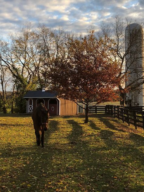 Photo of the Historic Beechmont Farm near Bowling Green Kentucky Horses On Farm, Ranch Life Country Living, Farm Aesthetic Country Living, Country Lifestyle Farm Life, Country Home Aesthetic, Kentucky Aesthetic, Small Horse Farm, Farm Life Aesthetic, Throughbred Horses