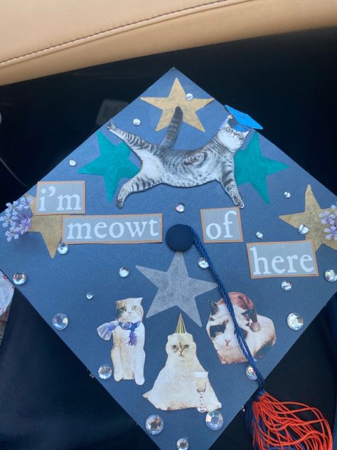 taylor swift confetti, cats, grad cap, graduation cap Creative Grad Cap Ideas, Sun And Moon Graduation Cap, Garfield Graduation Cap, Indie Graduation Cap, Artistic Graduation Cap, Graduation Cap Decoration Taylor Swift, Regular Show Graduation Cap, Grad Cap Designs High School 2024, Artsy Graduation Cap