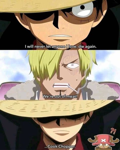 Funny One Piece Pictures, One Piece Memes Funny, Funny One Piece, One Piece Funny Moments, One Piece Meme, One Piece Crew, One Piece Ace, Anime Funny Moments, One Piece Funny