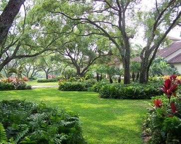 Like the idea of plantings around the trees.  Hosta's, ferns? French Country Garden, Mediterranean Landscaping, Front Landscaping, Tropical Landscaping, Ideas Pictures, Landscape Trees, Shade Garden, Landscape Architect, Backyard Design