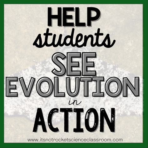 Evolution Lessons High School, Biology Activities High School, High School Biology Classroom, Evolution Activities, High School Biology Teacher, Biology Lesson Plans, Biology Activity, High School Science Teacher, School Biology