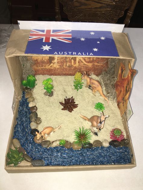 #animalhabitats #kangaroohabitat #kangaroo #kangaroos #australia #australiahabitat #animalproject #schoolprojects #projectsforkids Kangaroo Habitat Project For Kids, Kangaroo Habitat Diorama, Australian Outback Diorama, Australia Diorama, Kangaroo Habitat, Animal Diorama, Kangaroo Craft, Habitat Project, Australia For Kids