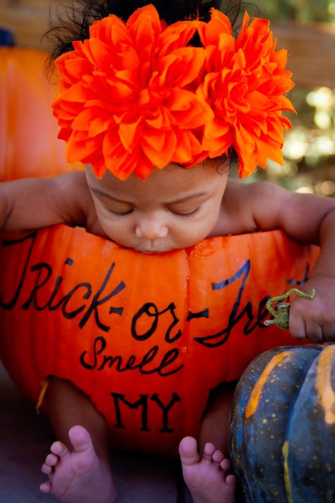 Pumpkin Photoshoot, Baby Halloween Pumpkin, Infant Photos, Pumpkin Patch Pictures, Pumpkin Pictures, 3 Month Old, Nursery Room Inspiration, Halloween 1, Mixed Babies