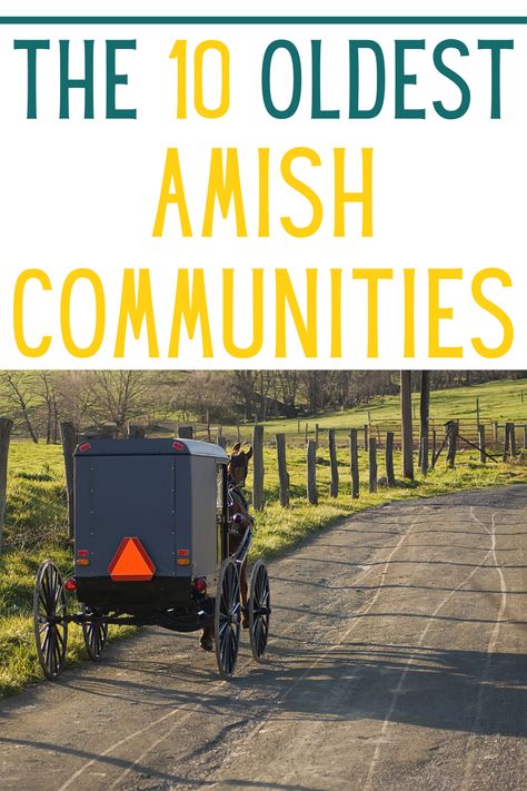 Amish Country Pa, Kalona Iowa, Amish Market, Amish Pennsylvania, Amish Lifestyle, Bird In Hand, Amish Culture, Amish Life, Lawrence County