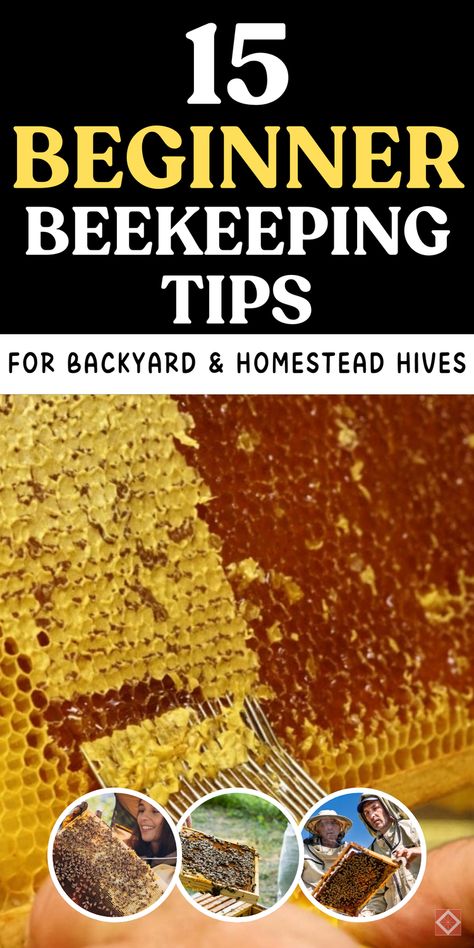 Interested in backyard beekeeping? These 15 beginner tips will help you get started with ease! From hive setup to maintaining bee health, this guide provides practical tips that make beekeeping on the homestead simple and enjoyable. Ideal for those new to beekeeping, each tip offers insights into building a thriving, productive hive. Save this pin to learn essential skills and become a confident beekeeper in no time. Backyard Beekeeping Setup, Harvesting Honey, Flow Hive, Beekeeping For Beginners, Bee Colony, Backyard Beekeeping, Bee Hives, Mentorship Program, The Homestead