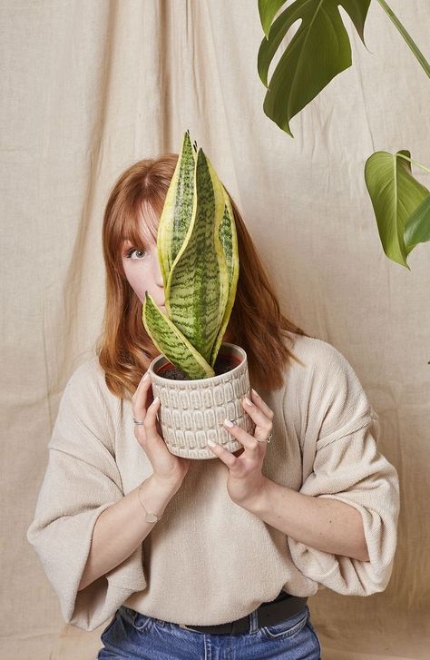 Photo With Plants, Plant Studio Photography, Plant In Teapot, Portraits With Plants, Portrait Photography Props, Posing With Plants, Photography With Plants, Portrait With Plants, Portrait Studio Lighting