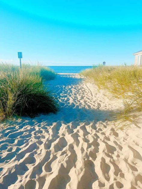 The path to happiness 😍 New Orleans Beach, New Orleans, Places To Go, Favorite Places