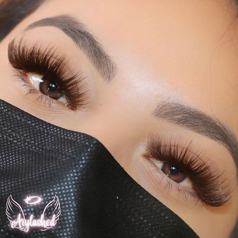 Brown And Black Eyelash Extensions, Black And Brown Lash Extensions, Brown And Black Lash Extensions, Brown Eyelashes Extensions, Dark Brown Lash Extensions, Brown Lashes Extensions, Doll Eye Lash Extensions, Brown Eyelash Extensions, Brown Lash Extensions