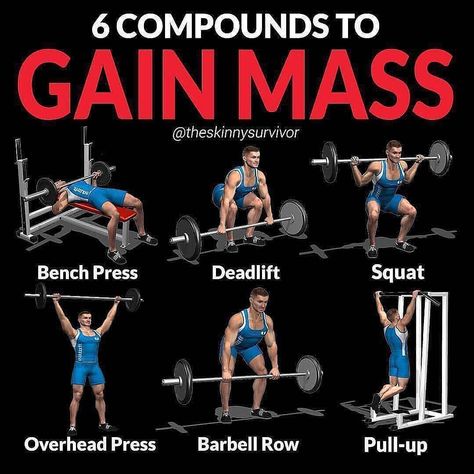 6 COMPOUNDS TO GAIN MASS by @theskinnysurvivor ... Ectomorph Workout, Fitness Studio Training, Workout Man, Gain Mass, Best Chest Workout, Gain Muscle Mass, Gym Antrenmanları, Compound Exercises, Gym Tips