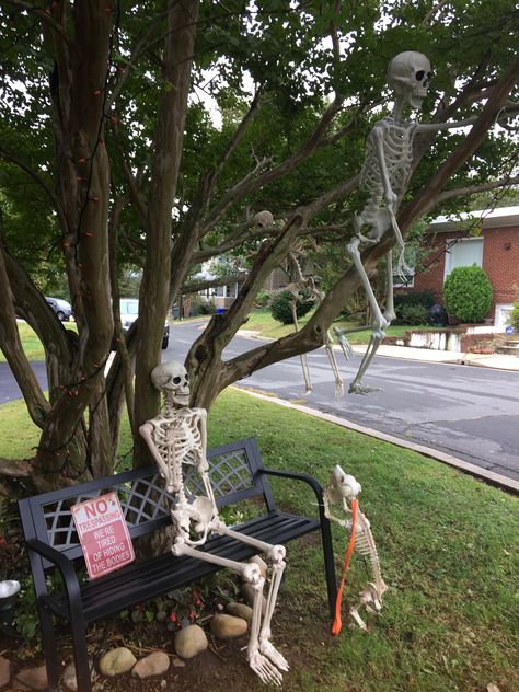 Skeleton On Bench Halloween, Halloween Highlights, Black Bench, Wedding Entrance, Halloween Wedding, House Decoration, Outdoor Halloween, Halloween Party Decor, Halloween House