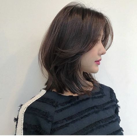 Korean Long Hair, Medium Shag Hairstyles, Shortish Hair, Korean Short Hair, Asian Short Hair, Hair Inspiration Short, Shot Hair Styles, Haircuts For Medium Hair, Haircuts Straight Hair