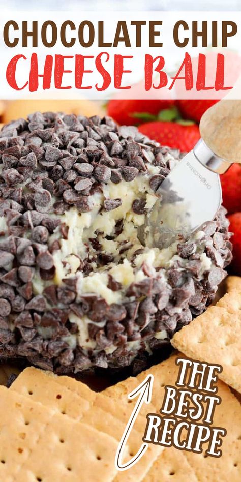 Choc Chip Cheeseball, Chocolate Chip Ball Dip, Cream Cheese Ball Dessert, Thanksgiving Dessert Cheese Ball, Chocolate Chip Cheese All, Dips And Cheese Balls, Fall Dessert Cheeseball Recipes, Dessert Cheese Ball Christmas, Chocolate Chip Cream Cheese Ball