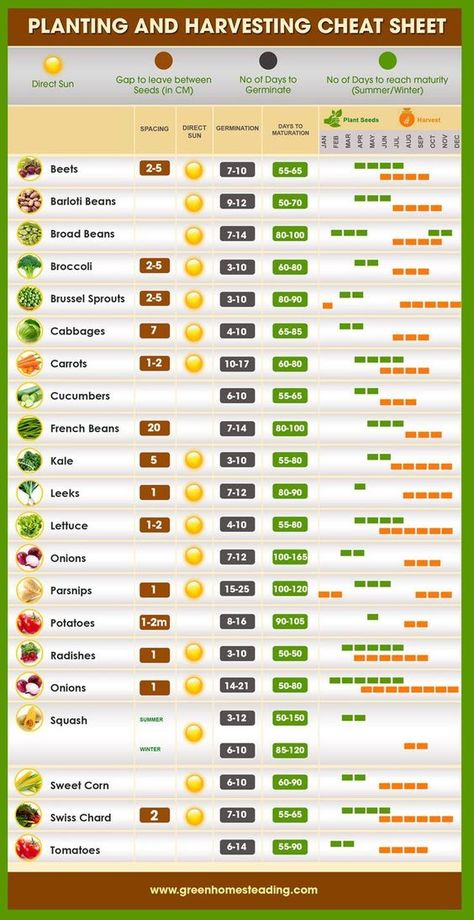 Gardening - Planting and Harvesting Cheat Sheet Healthy Household, Herb Planting, Grow Chart, Lisa White, Plantarea Legumelor, Allotment Garden, Garden Planner, Garden Types, Veg Garden