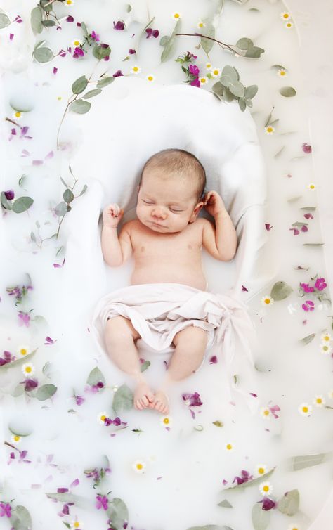 Baby milk bath shoot 3 Month Milk Bath Pictures, Breastmilk Bath Photography, Apple Milk Bath Photos, Infant Milk Bath Pictures, Milkbath Photography Baby, Newborn Bath Photoshoot, Baby Tub Photoshoot, Fall Milk Bath Baby, Milk Bath Baby Photoshoot