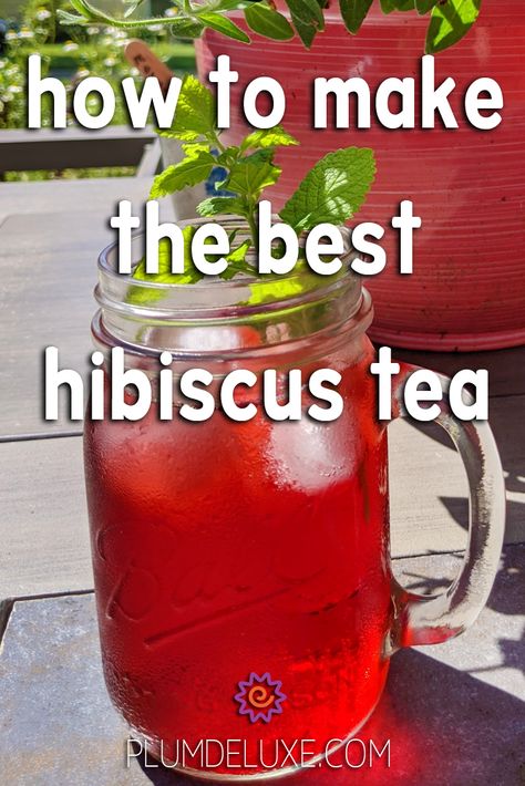 Homemade Hibiscus Tea, Hibiscus Tea Recipe How To Make, Hibiscus Cinnamon Tea, Hibiscus Tea How To Make, Hibiscus Tea From Fresh Flowers, Hisbusic Tea, Hibiscus Flower Drink Recipes, Hibiscus Sun Tea, Hibiscus Flower Tea Recipe