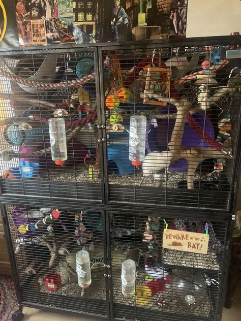 Rat Room Ideas, Rats Cage Ideas, Rat Cage Ideas Aesthetic, Diy Rat Cage Accessories, Animal Sanctuary Ideas, Rat Cage Setup, Rat Cage Ideas, Rat Cage Diy, Rat Crafts