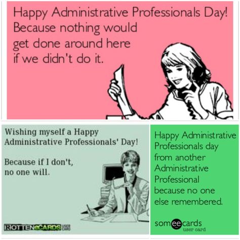 Administrative Professional's Day...because no one else remembered Administrative Professional Day, Someecards, Professions, Ecards, Memes, Quotes, E Cards