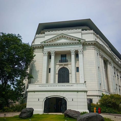 National Museum of Natural History 🦁 Artistry with a bit of History ❣️ #history #naturalhistory #naturalhistorymuseum #nationalmuseum National Museum Of Natural History, Museum Of Natural History, Natural History Museum, National Museum, Natural History, History, Quick Saves, Nature