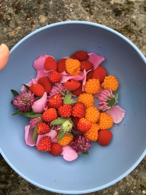 Thimble Berries, Salmon Berries, Nootka Rose, Neah Bay, Rose Petals, Business Ideas, Herbs, Fruit, Red